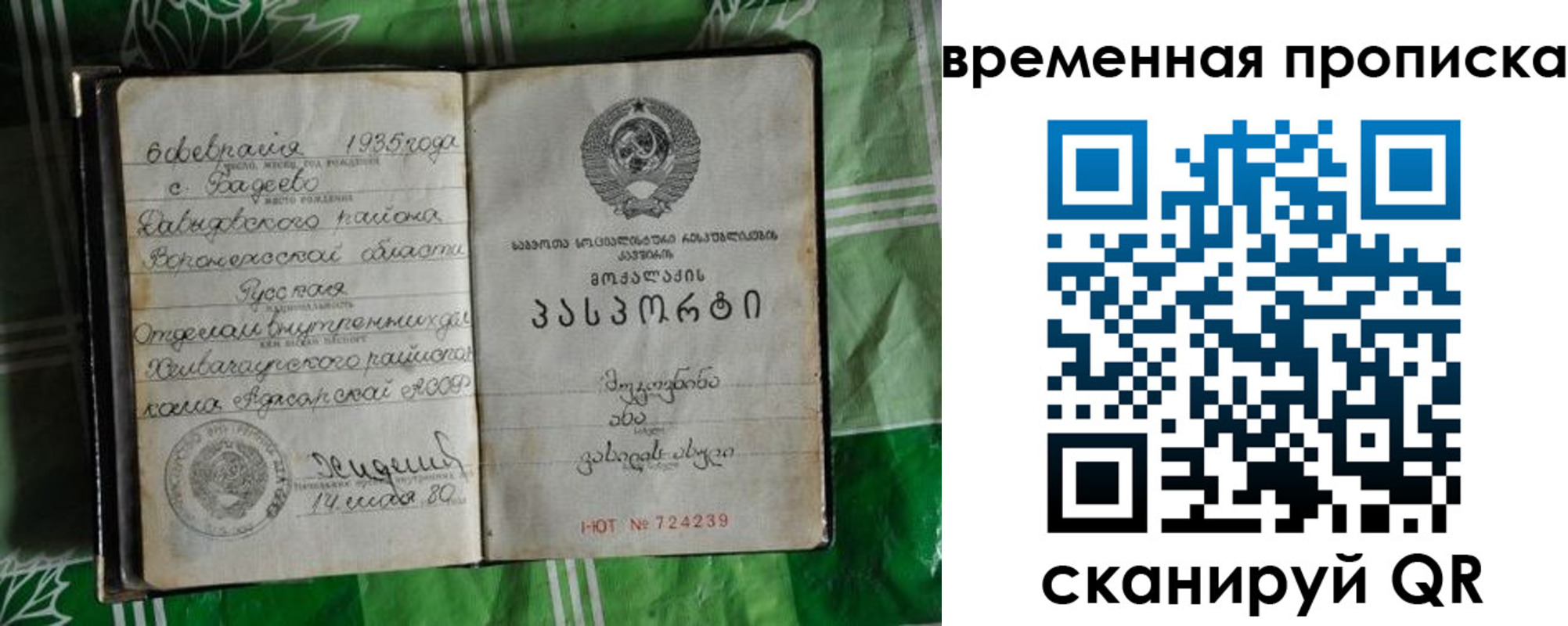 прописка в Краснодаре